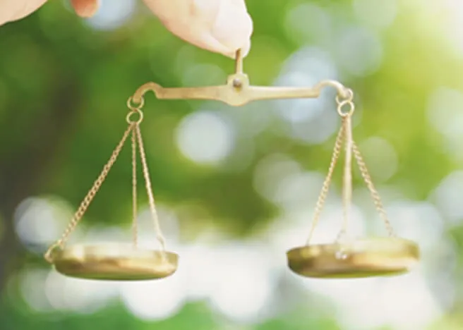 緑を背景に天秤が吊り下げられている様子