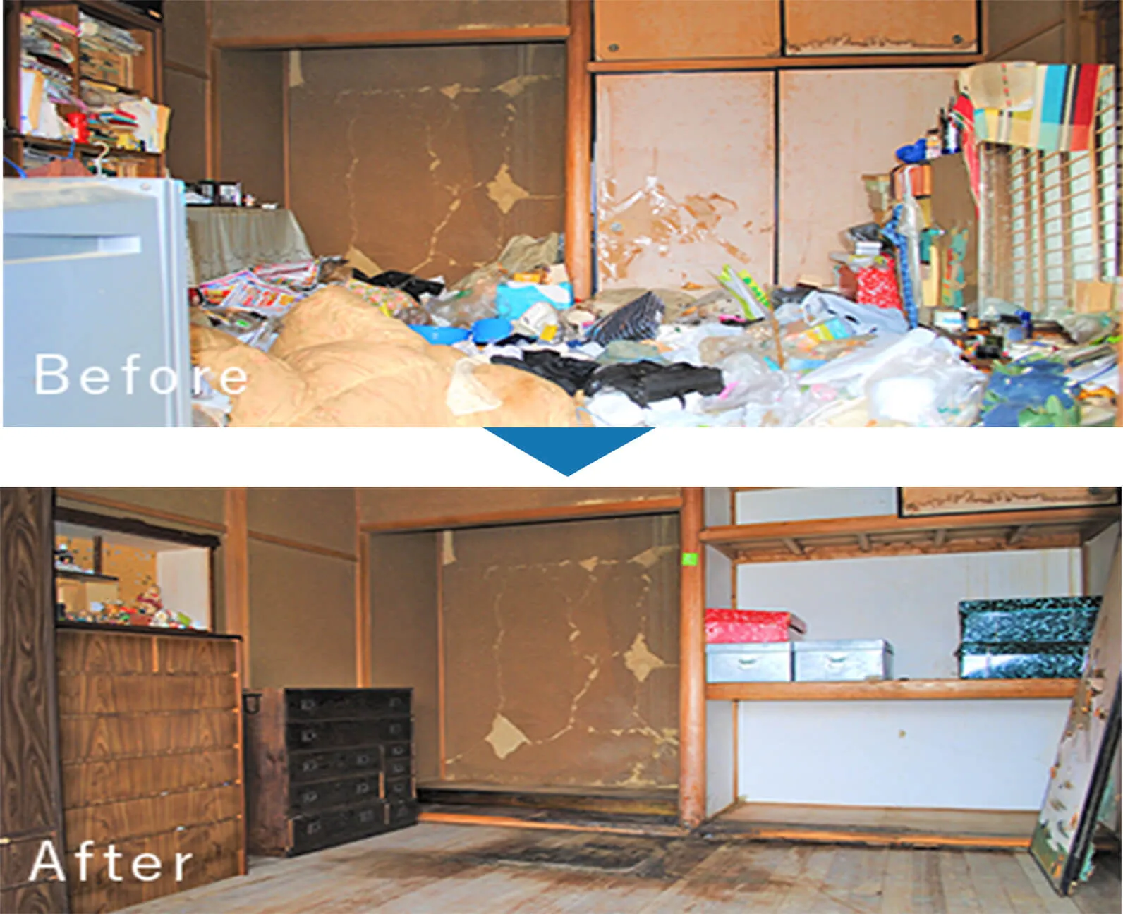 クリーニング前後の比較